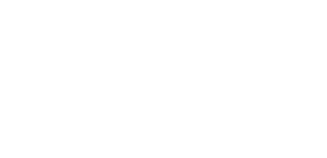 Logo Défi en version blanche, entreprise de services