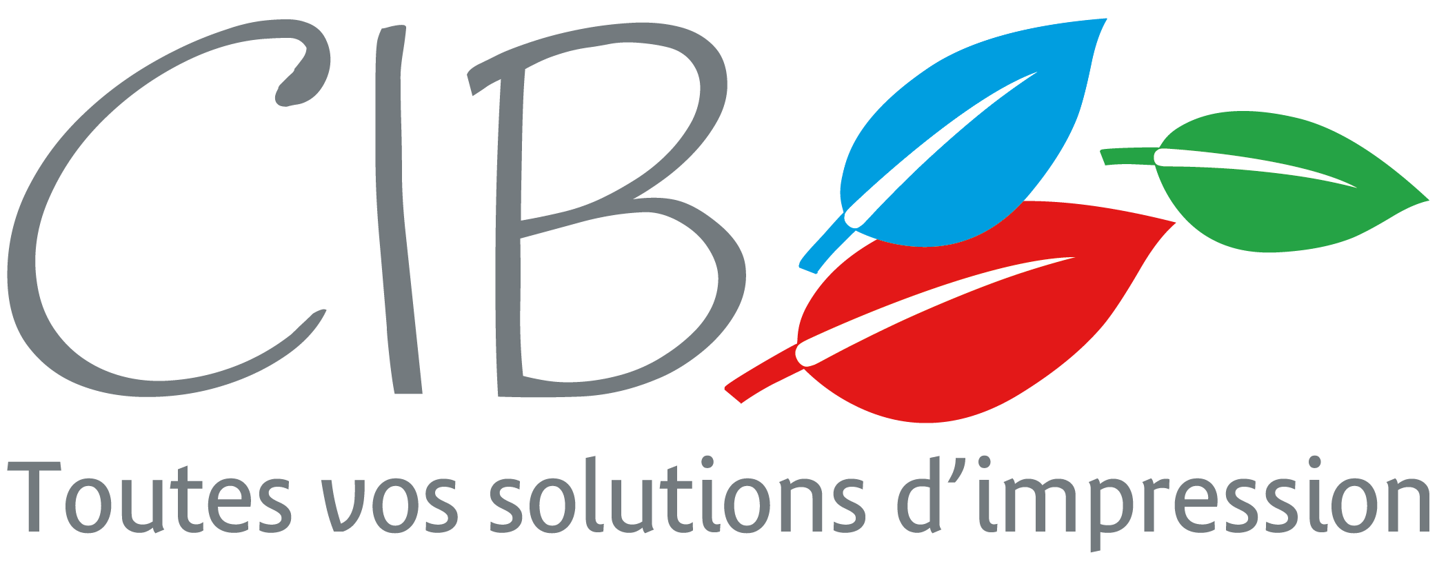 CIB imprimerie Bourgogne Franche-Comté